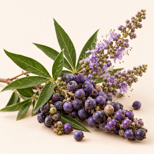 CHASTEBERRY