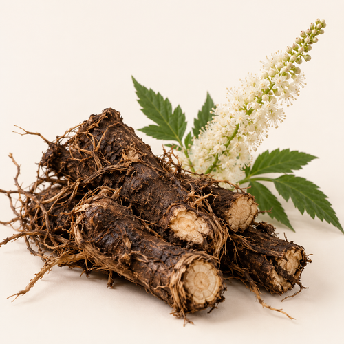 BLACK COHOSH